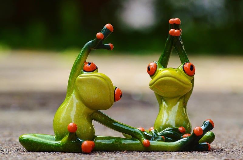 Mind-Body Connection