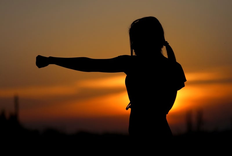 Sun Style Tai Chi Image